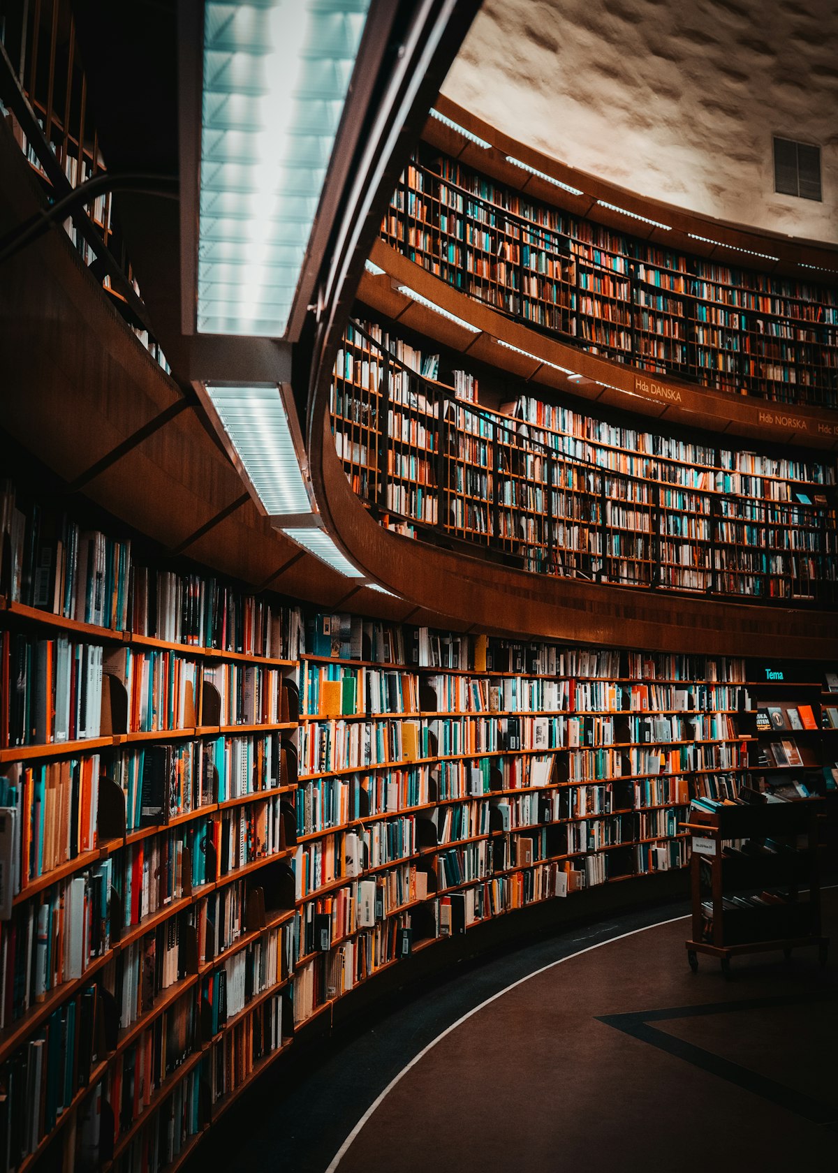 Shelves of bound records and books